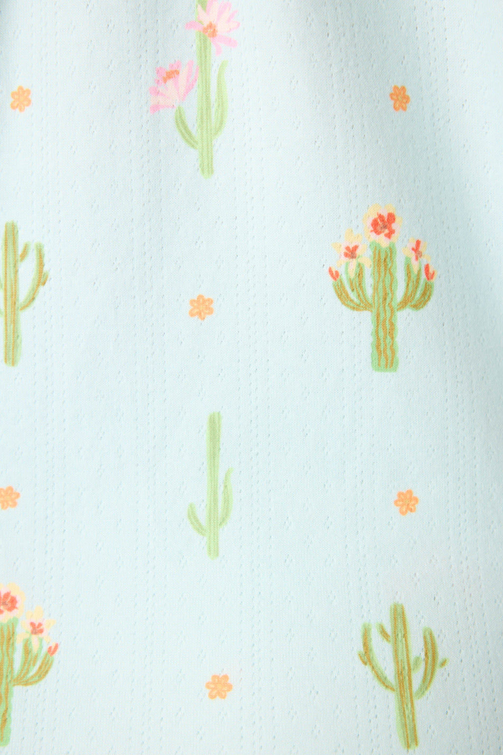 Feelin' Prickly Cactus Blooms Banded Pants