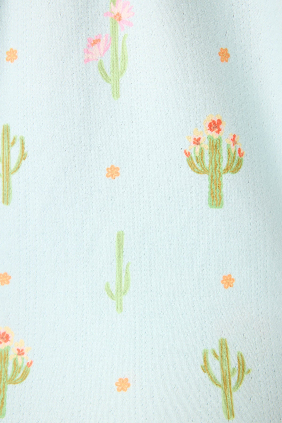 Feelin' Prickly Cactus Blooms Banded Pants